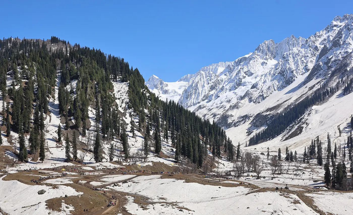 Visitors on the snowfield at Thajiwas Glacier, framed by pine forest and the surrounding peaks above Sonamarg