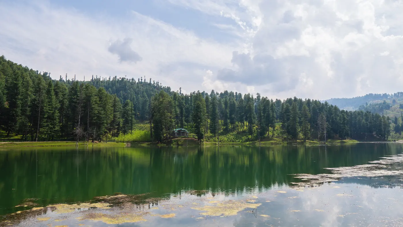 The still green waters of Nilnag Lake reflecting the surrounding pine forest near Yusmarg