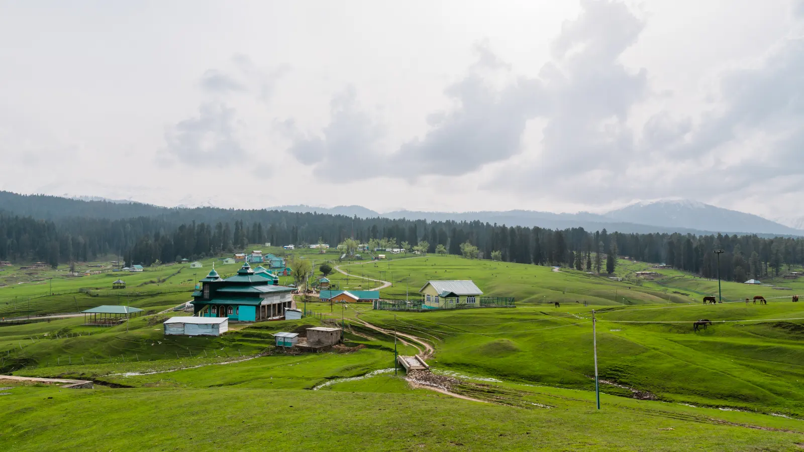 Yusmarg Travel Guide: Meadow of Jesus & Nilnag Lake
