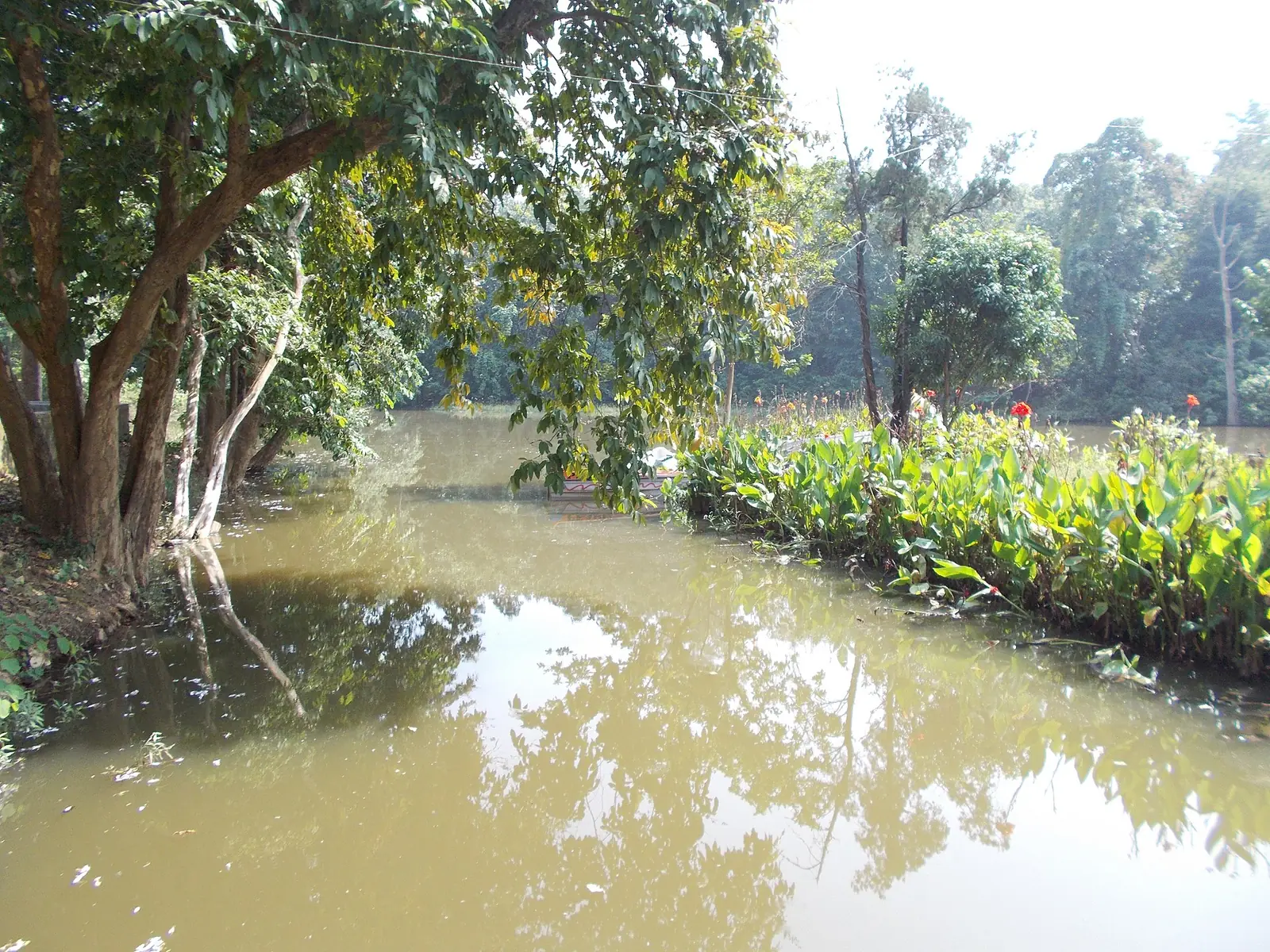 Hazaribagh Travel Guide: Wildlife Sanctuary & Hazaribagh Lake