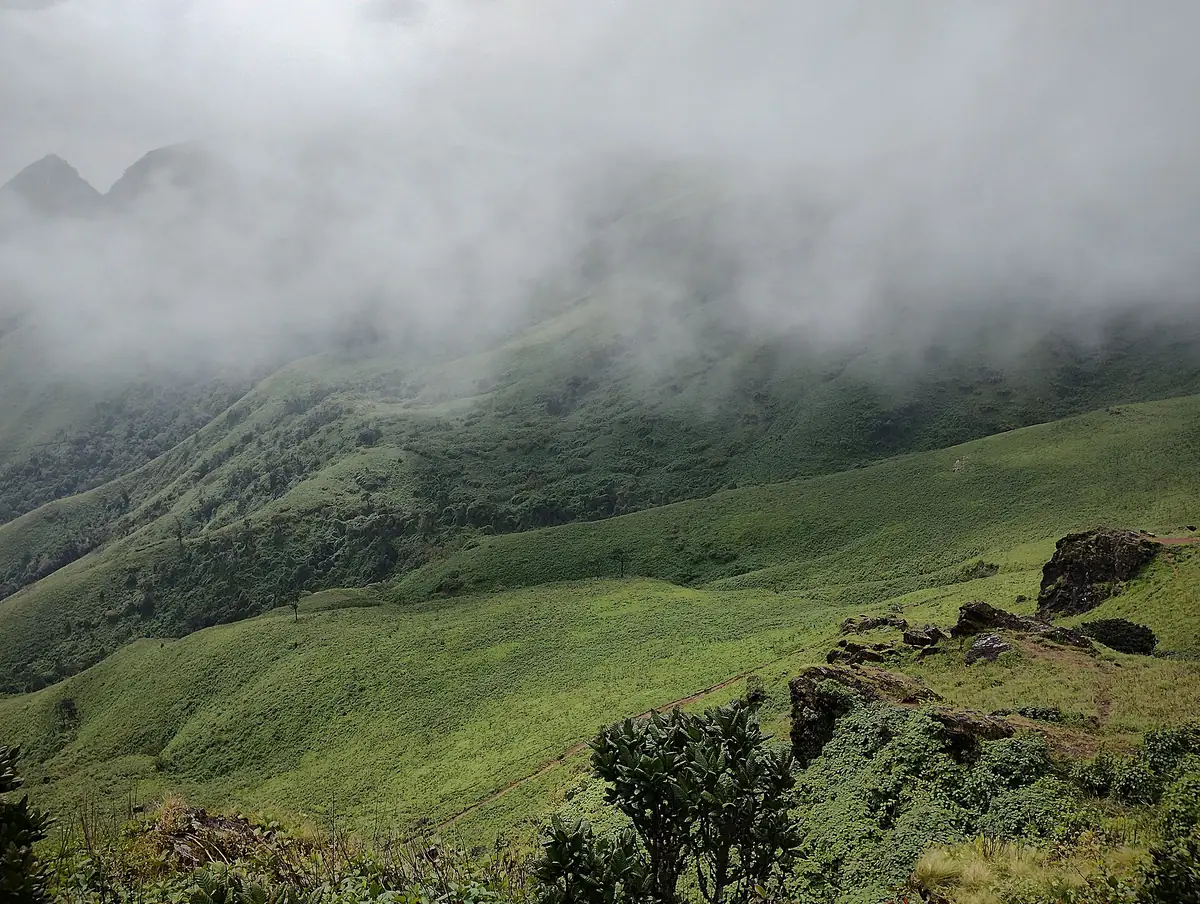 Baba Budangiri, Chikmagalur
