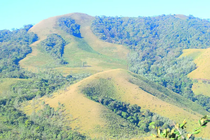 Grassland slopes near Mullayanagiri