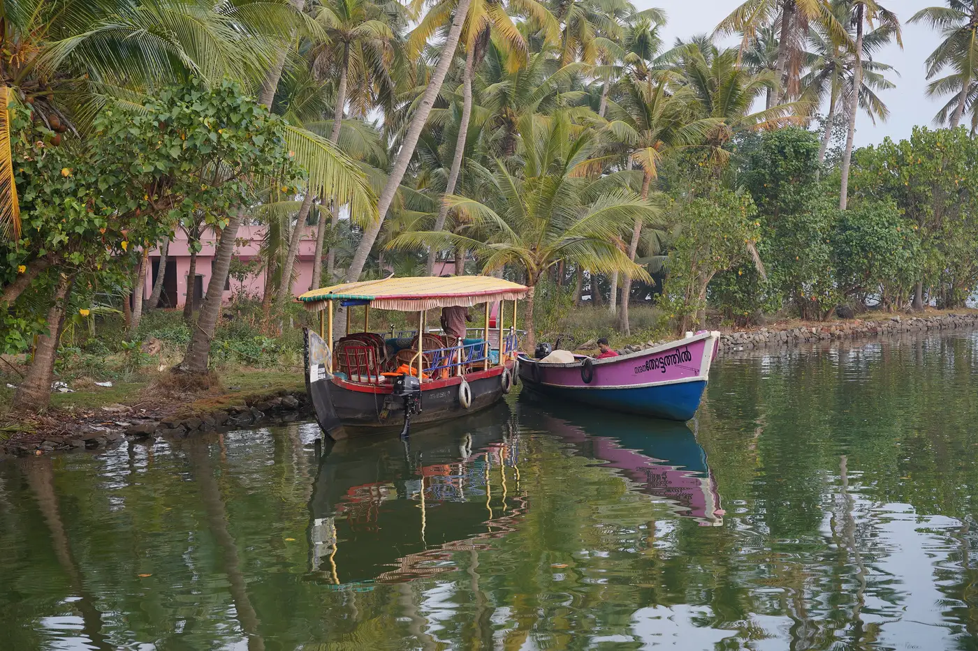 Local boats moored along the palm-fringed shore of Ashtamudi Lake near Kollam