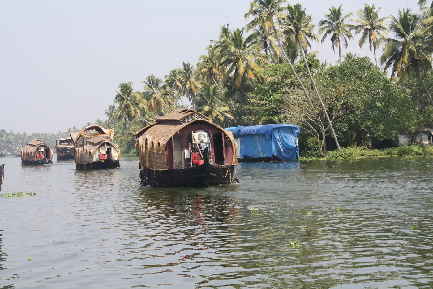 Kettuvallam houseboats on Vembanad Lake near Kumarakom, Kerala