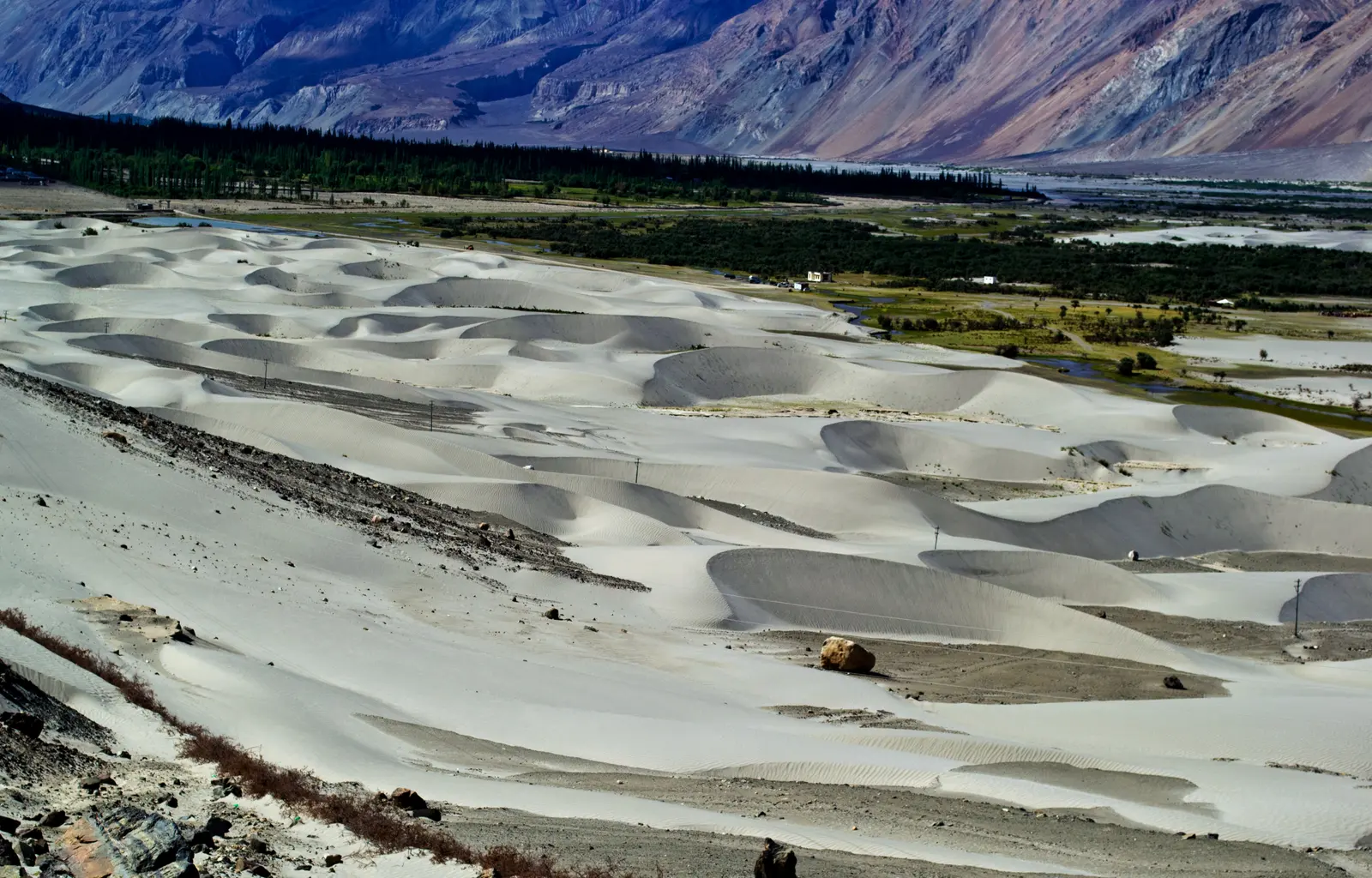Hunder Travel Guide: Nubra Valley's Sand Dunes & Camel Safari