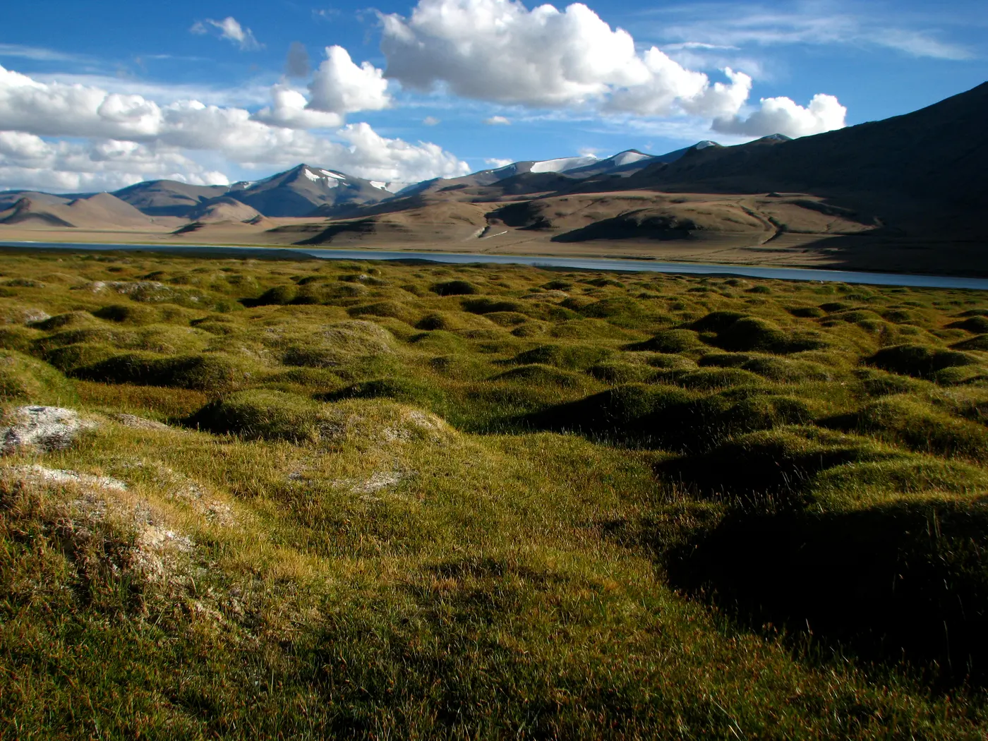 Tso Kar's pale, salt-rimmed shoreline with the Rupshu plateau mountains behind it