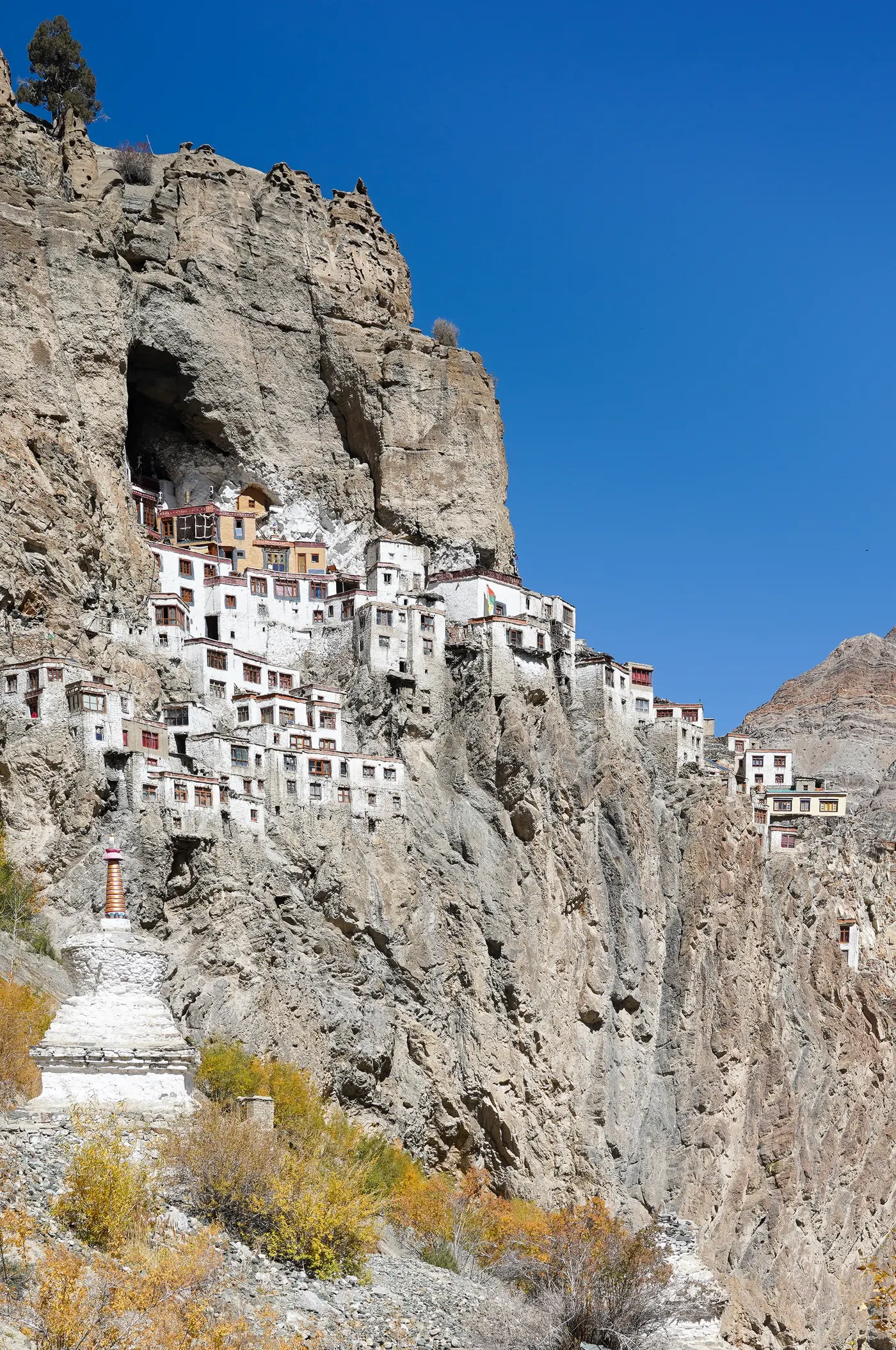 A vertical view of Phugtal Monastery's whitewashed cave dwellings stacked into the cliff, with a chorten below