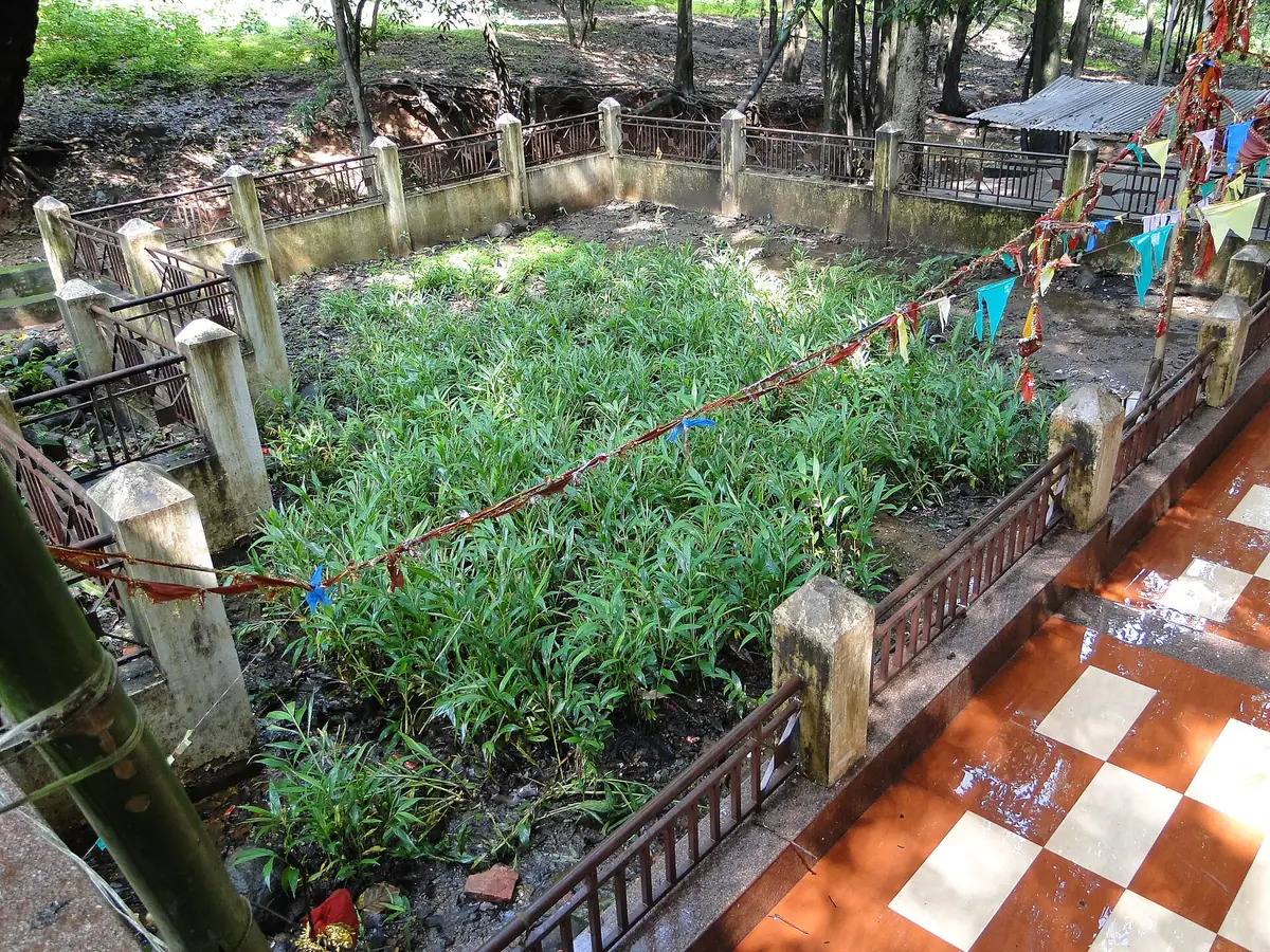 Mai ki Bagiya, Amarkantak