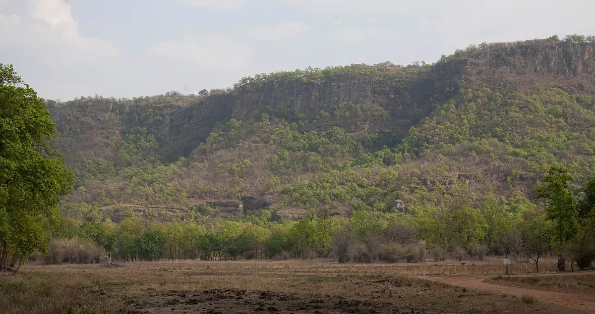 Bandhavgarh National Park, Madhya Pradesh