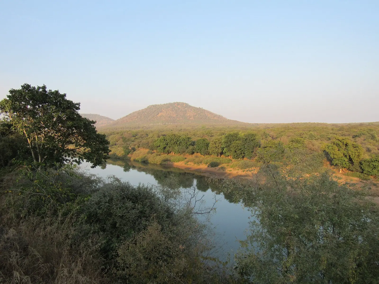 The Kuno river winding through dry forest in Kuno National Park, Madhya Pradesh