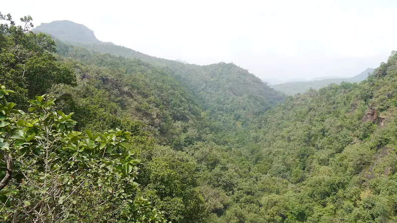 Bee Falls, Pachmarhi