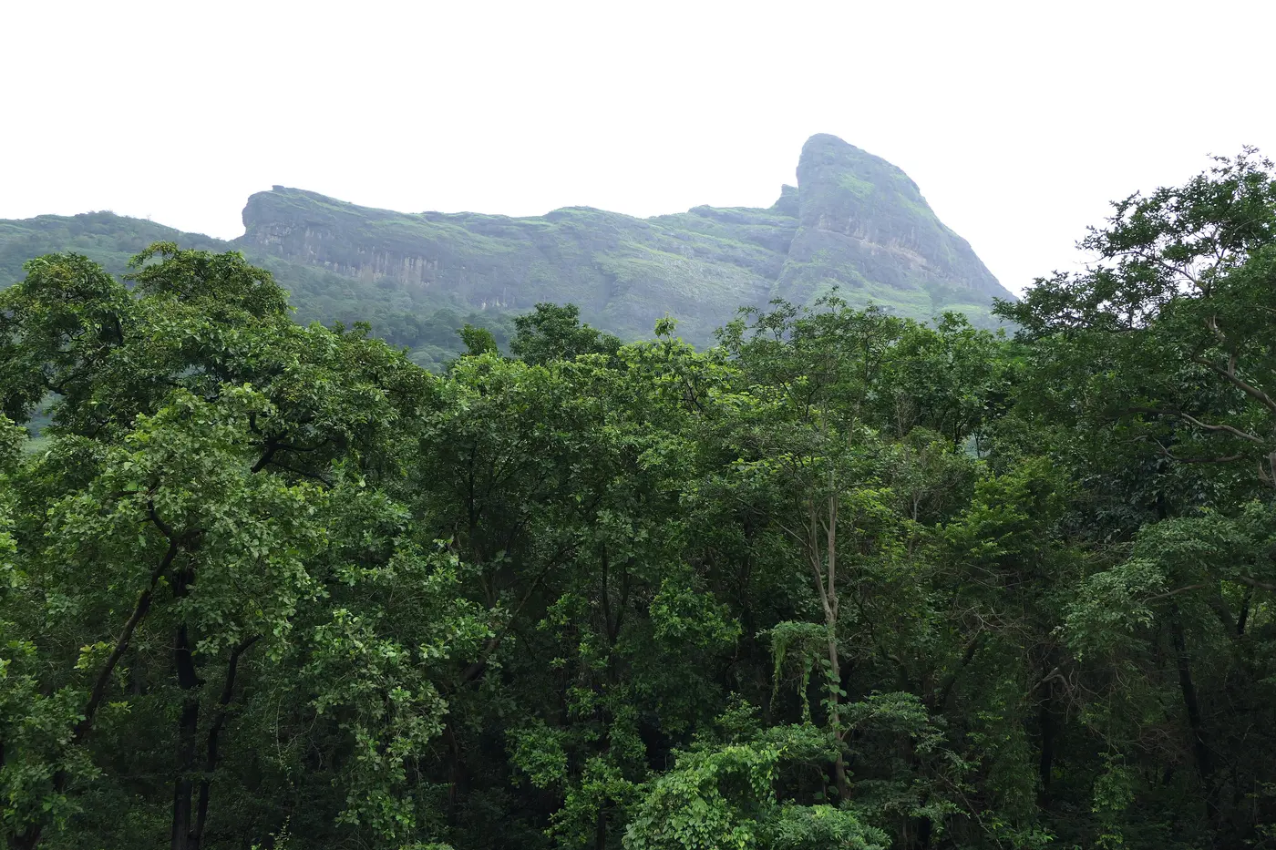 Misty valleys near Lonavala