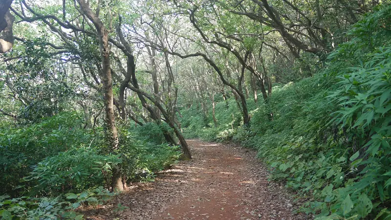 The view from Panorama Point, Matheran