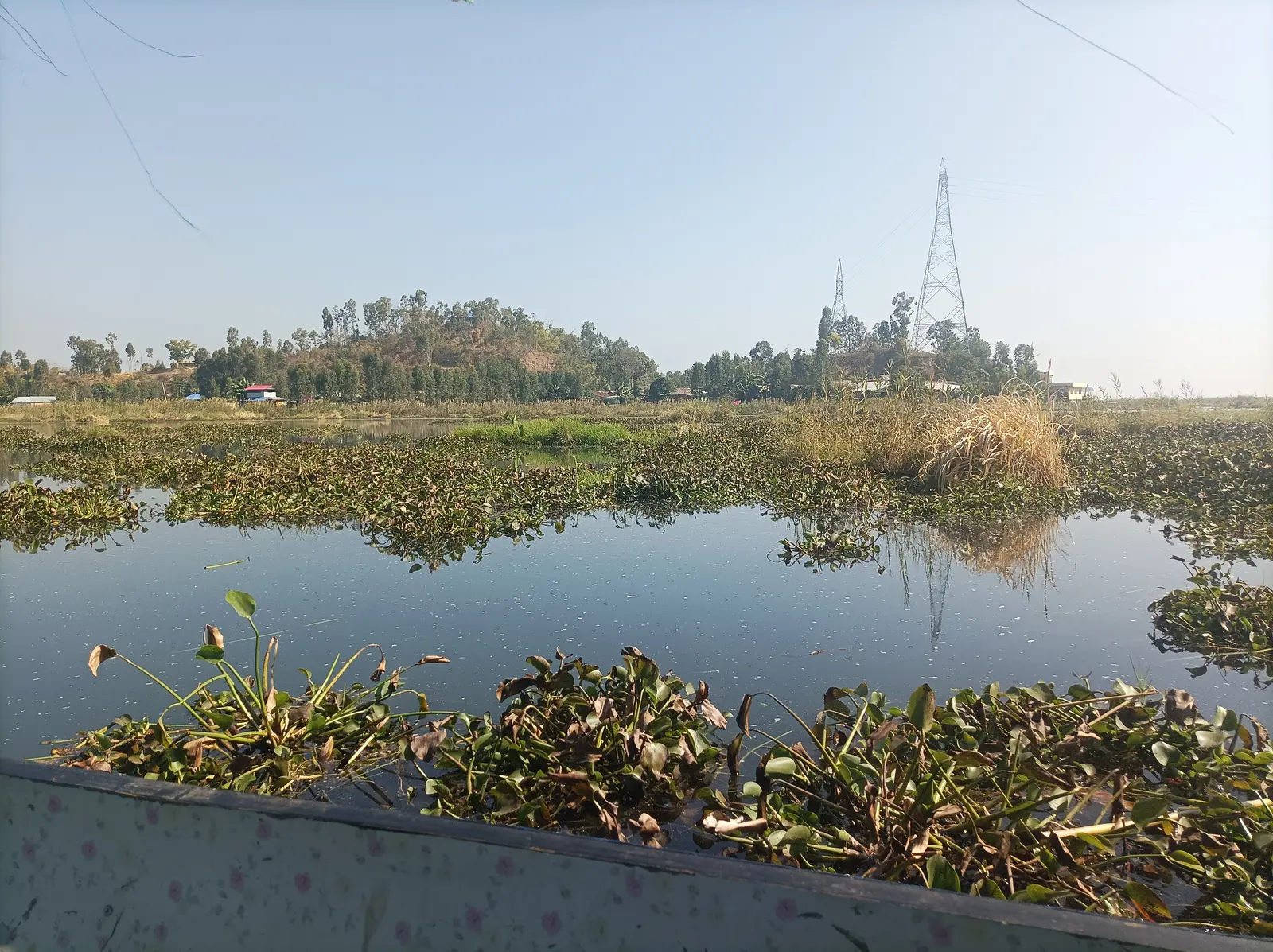 Floating phumdi vegetation islands drifting on Loktak Lake, Manipur