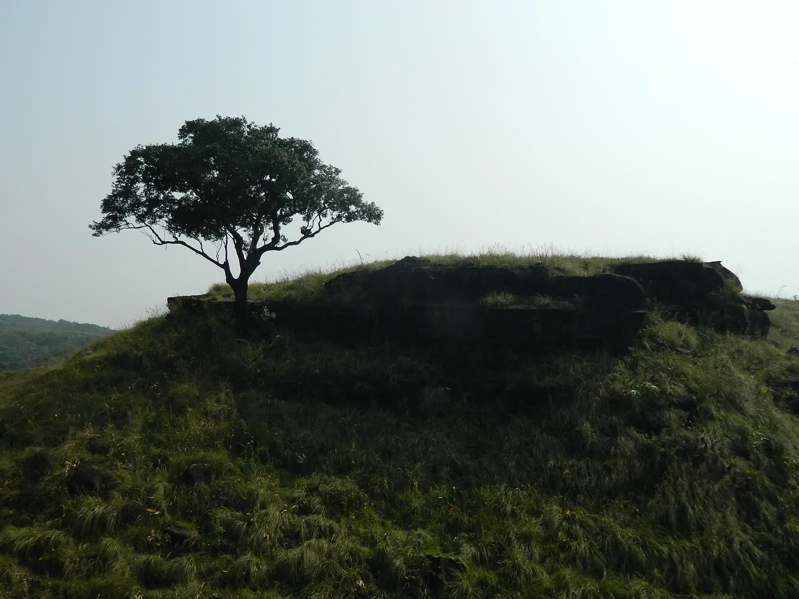 Balpakram National Park, Meghalaya