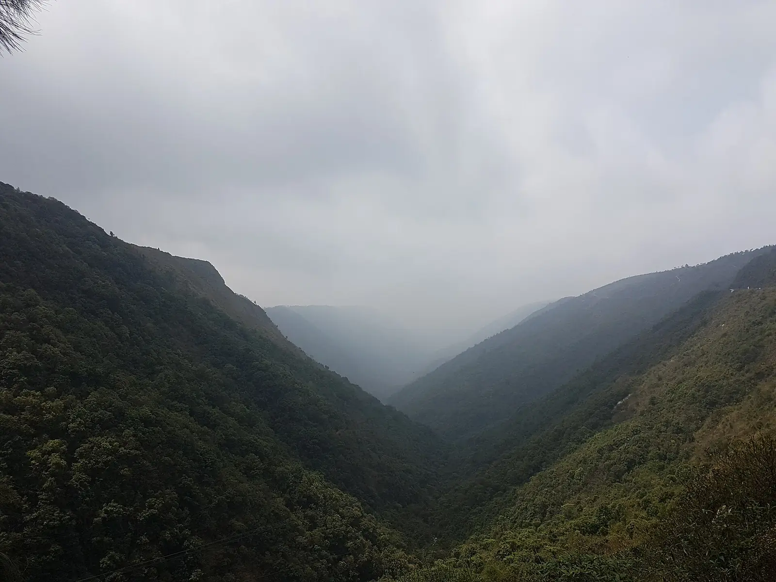 Meghalaya Travel Guide: Living Root Bridges, Cherrapunji & More