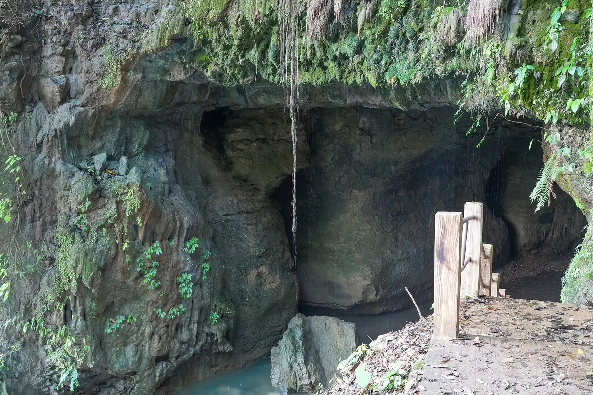 Siju Cave, Meghalaya