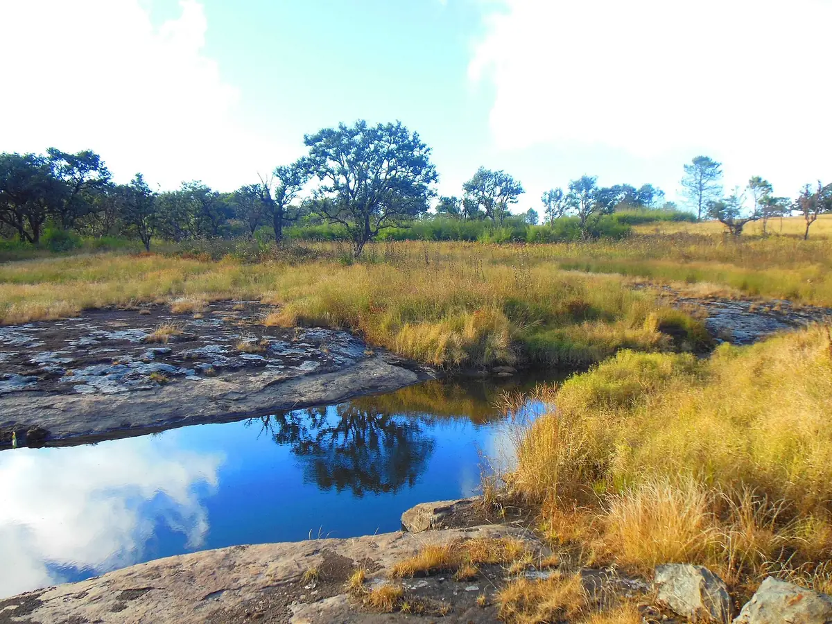 Phawngpui Trek Guide: The Blue Mountain