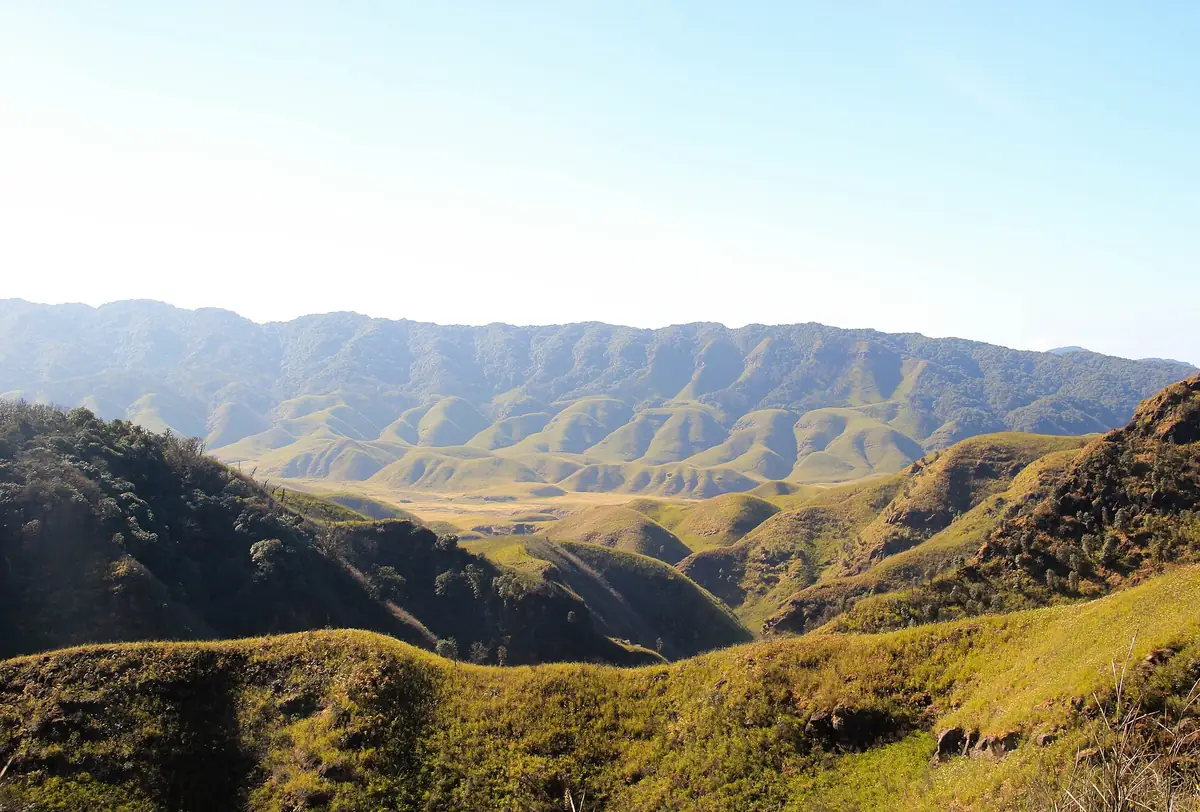 The Dzukou Lily, Dzukou Valley