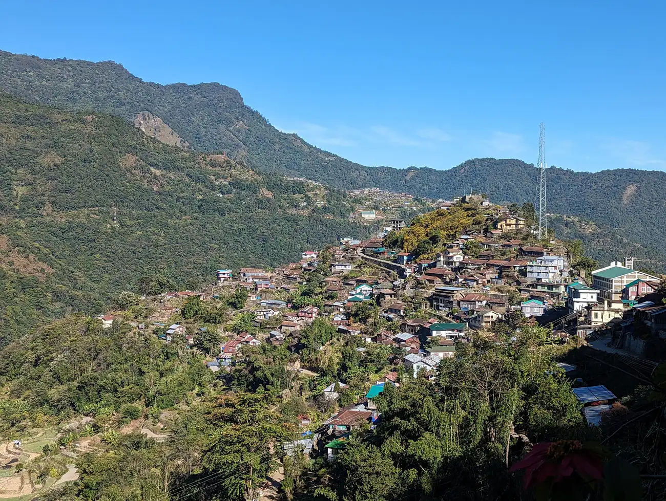 Terraced fields at Khonoma village, Nagaland