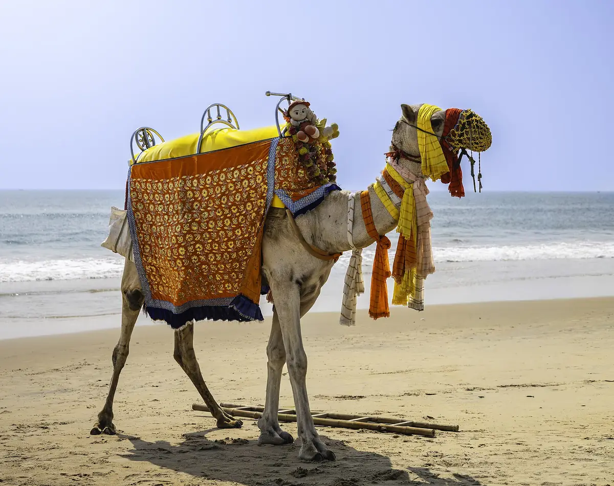 The beach at Puri