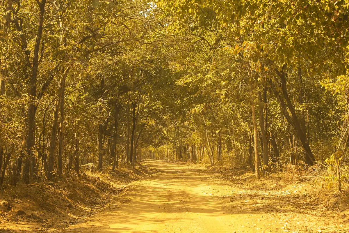 Debrigarh Wildlife Sanctuary, Sambalpur