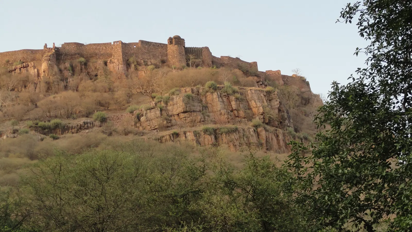 Ranthambore Fort seen rising above the forest of Ranthambore National Park