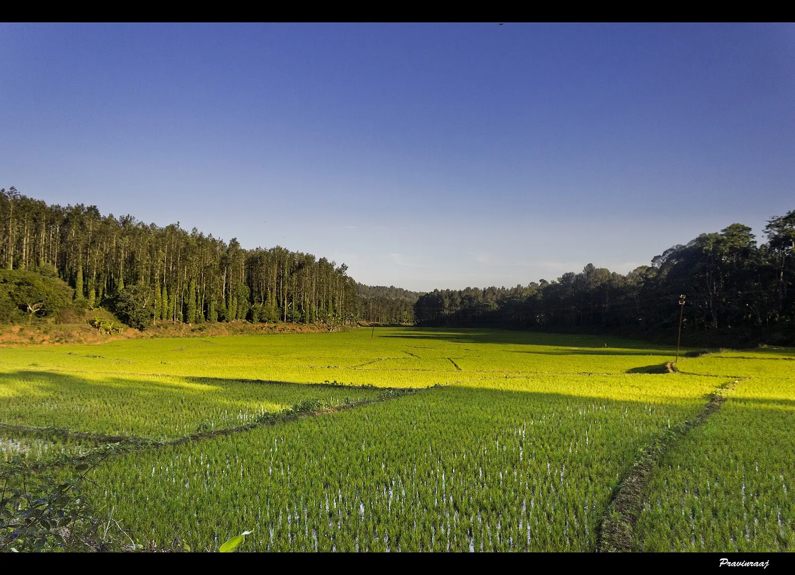 Kolli Hills Travel Guide: 70 Hairpin Bends & Tips