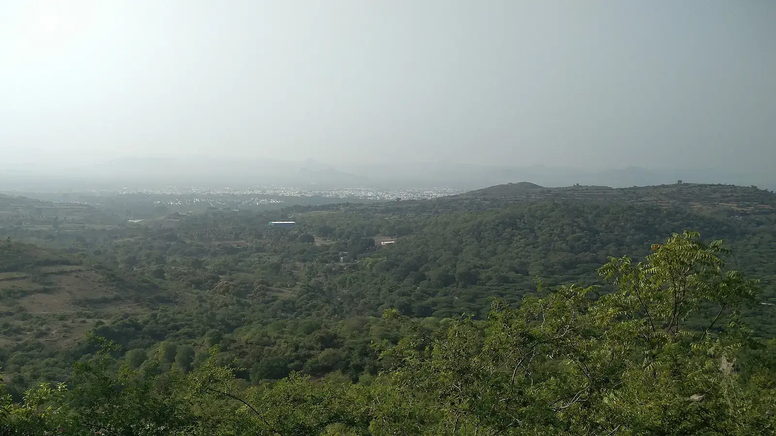 Yelagiri Travel Guide: Lake, Hills & Best Time