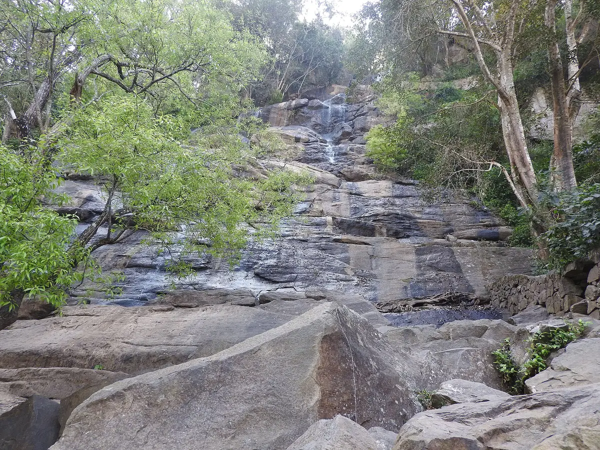 Yercaud Travel Guide: Coffee Hills & Best Time