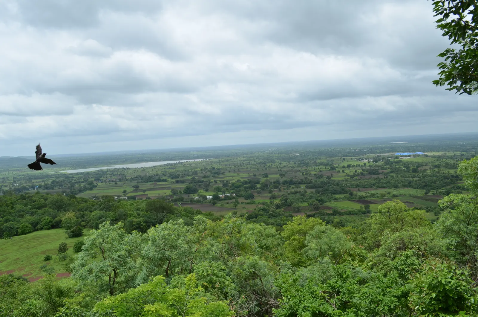 Ananthagiri Hills Guide: Coffee & Weekend Trip