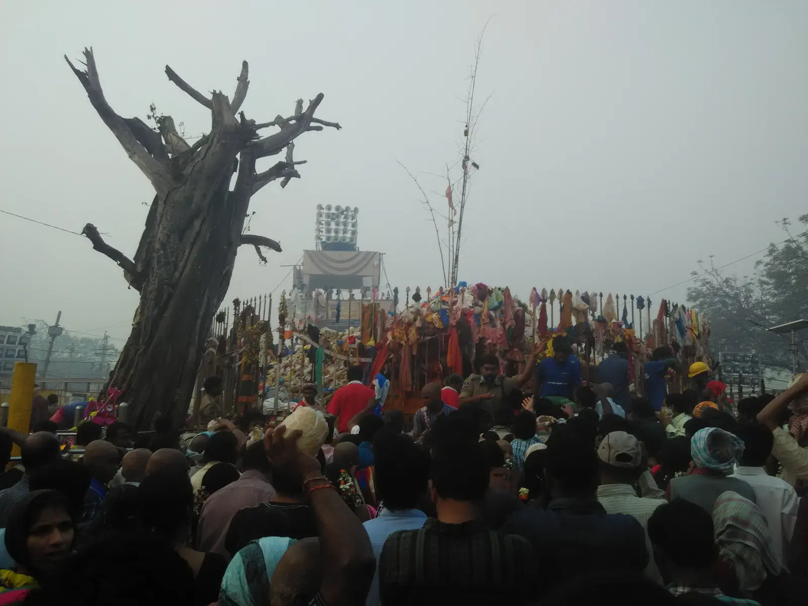 Medaram Jatara Guide: Sammakka Saralamma Festival