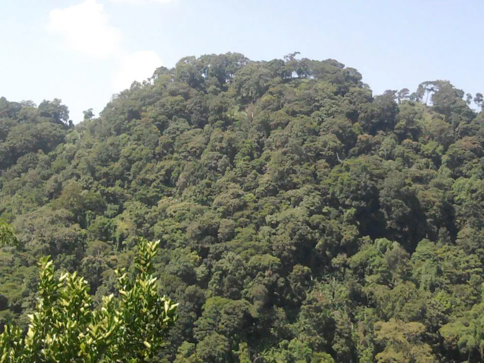 Betlingchhip Trek Guide: Tripura's Highest Peak