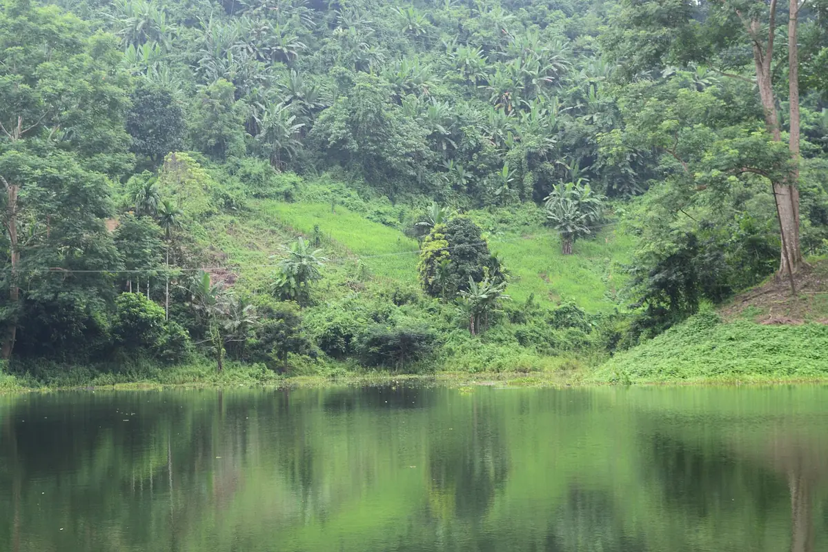 Dumboor Lake, Tripura