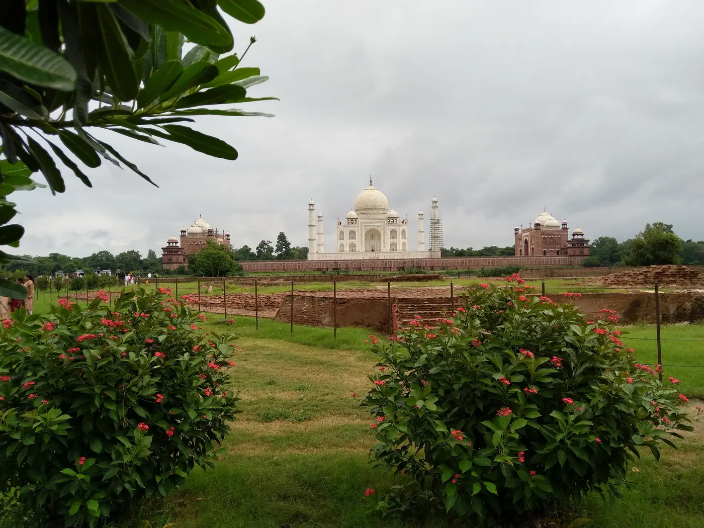 The Taj Mahal seen across the Yamuna from the greenery of Mehtab Bagh garden, Agra