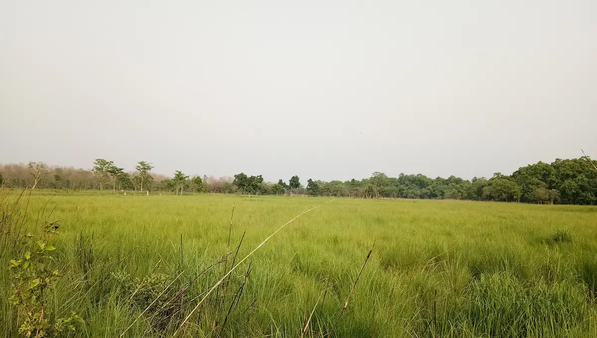 Dudhwa National Park, Uttar Pradesh