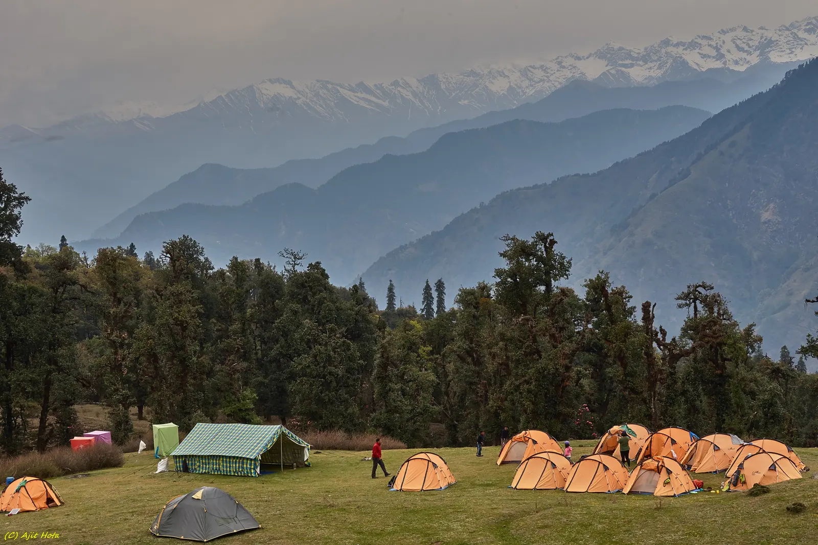 Meadows at Chopta with Himalayan peaks