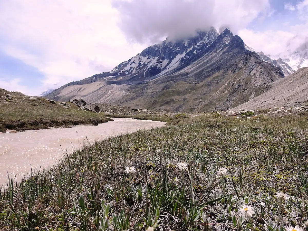 Tapovan Meadow, Gangotri