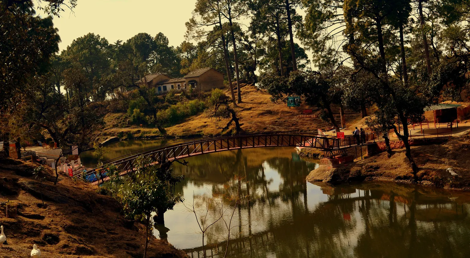 Lansdowne: Quiet Hills, Bhulla Lake & a Complete Visit Guide