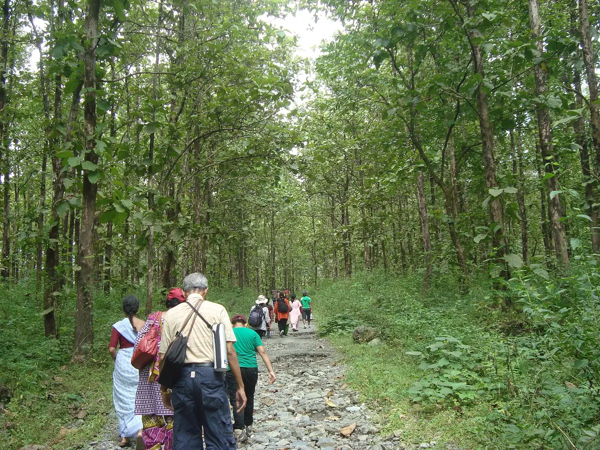 The Trek to Buxa Fort, Buxa Tiger Reserve