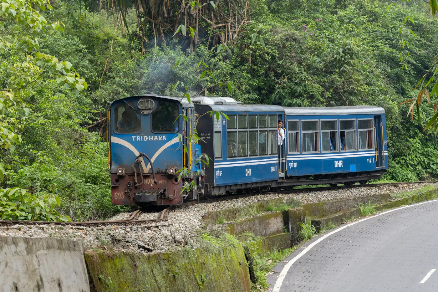 Things to Do in Darjeeling: Kanchenjunga Sunrise, Toy Train & Tea Gardens