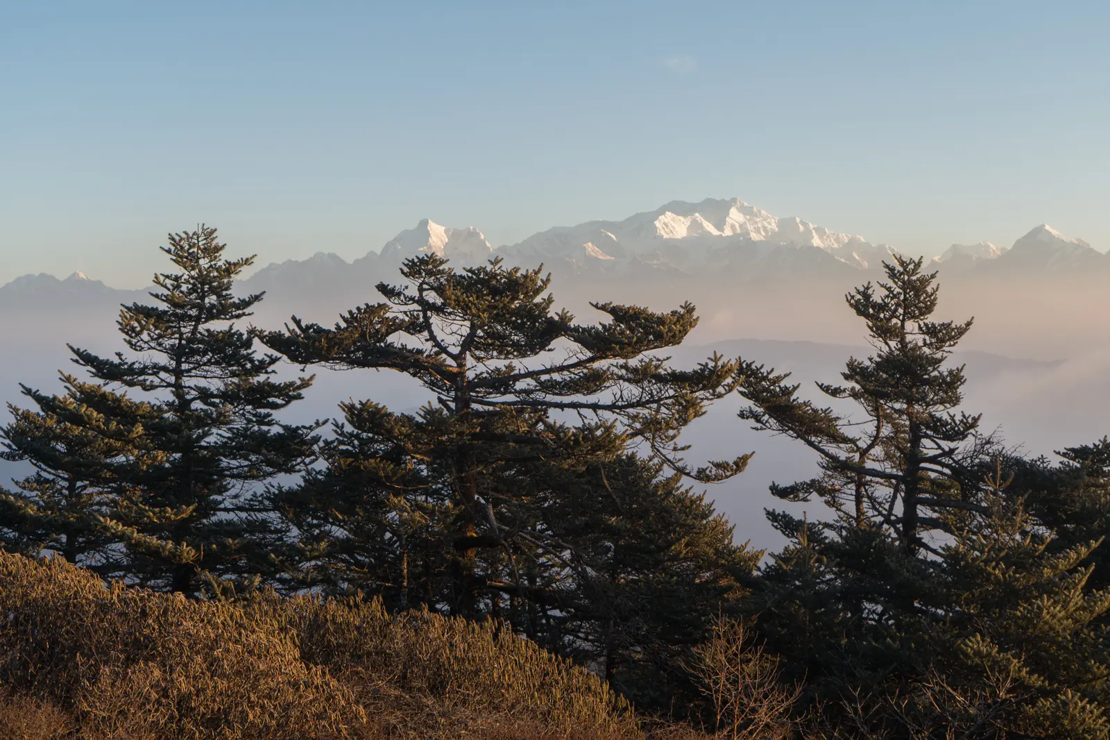 Sandakphu Trek Guide: Route, Permits & Best Time