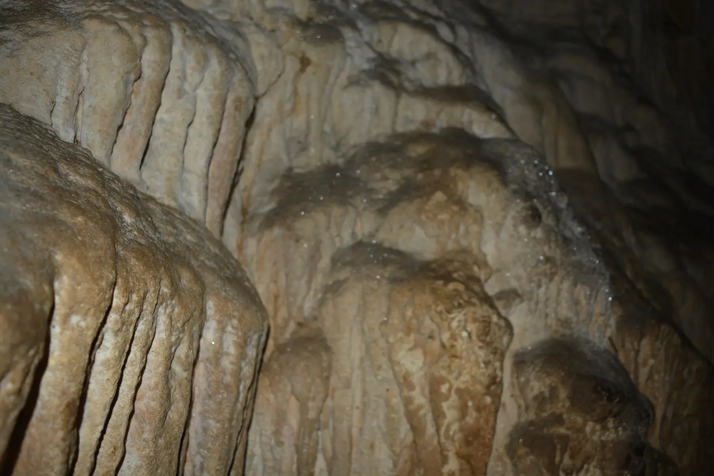 Limestone caves at Baratang