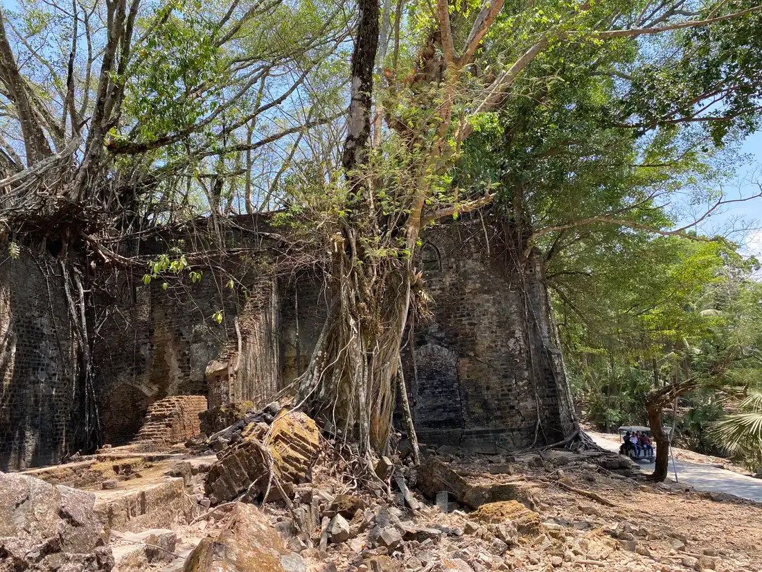 Ruins of Ross Island overgrown with banyan roots