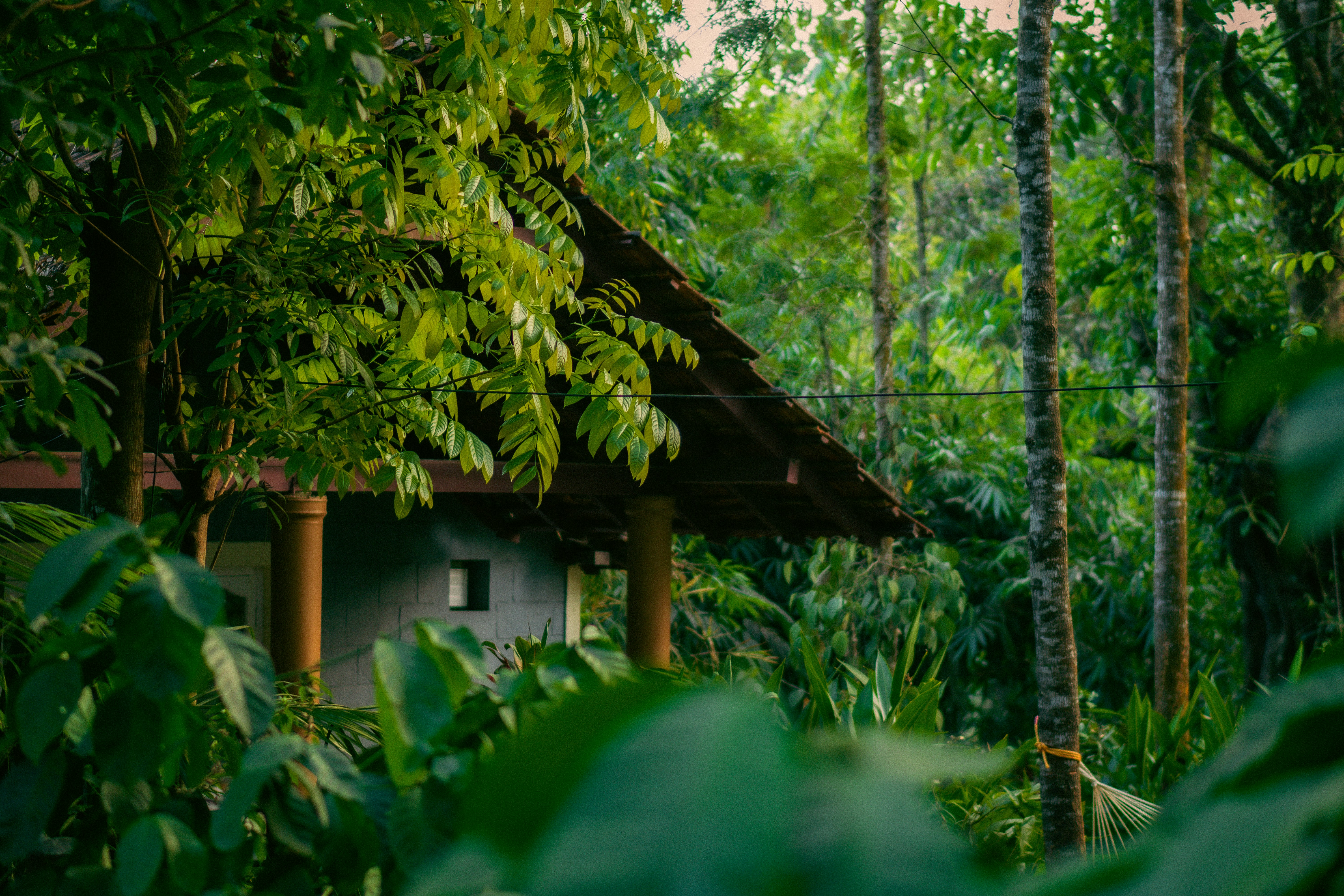 Coorg