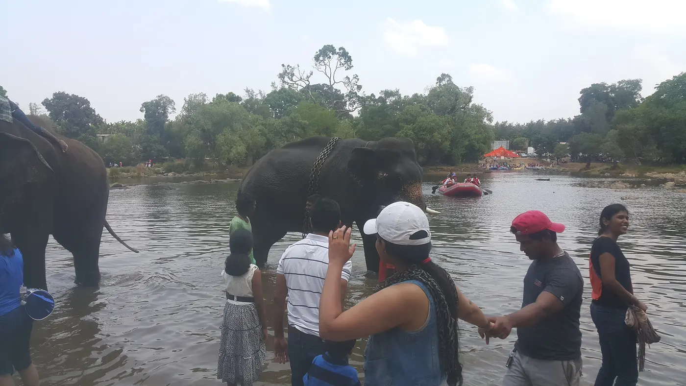 The Kaveri at Dubare