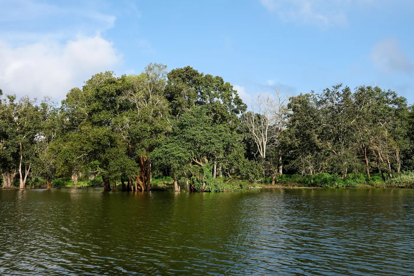 The Kabini reservoir on the edge of Nagarhole National Park