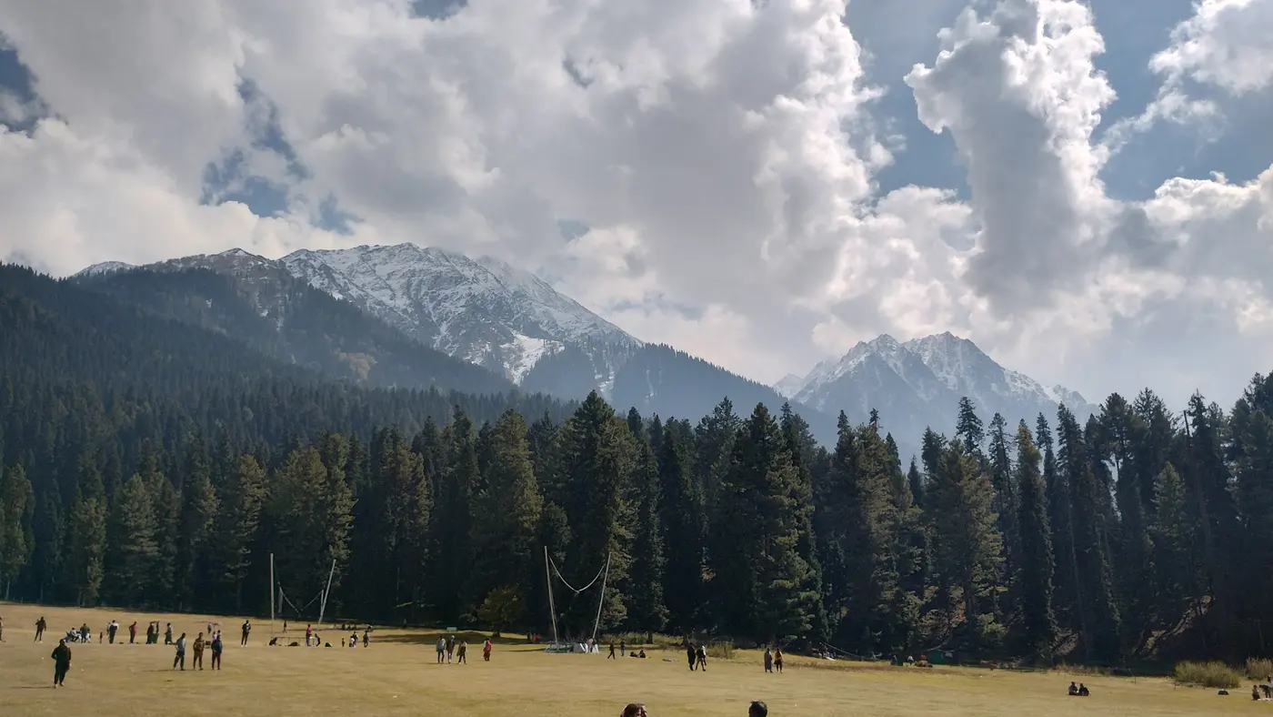 Baisaran Meadow's open pine-ringed grassland with snow-capped peaks above Pahalgam