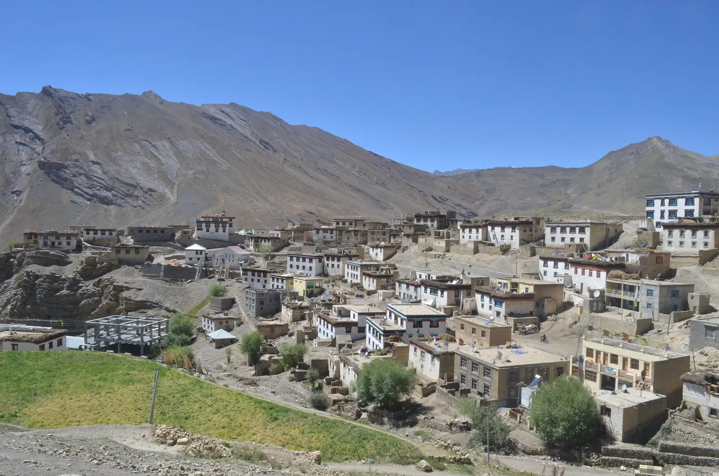 Whitewashed houses of Kibber village in Spiti
