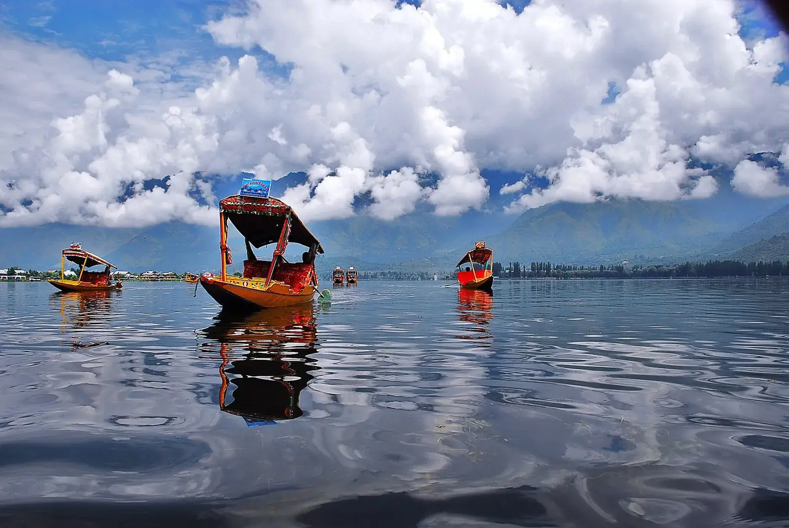 Shikaras on Dal Lake, Srinagar